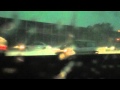 Busride JFK NYC While Tornado Rushes In