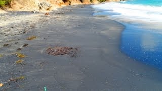 preview picture of video 'Playa Negra, Vieques, P R   03 23 2014'