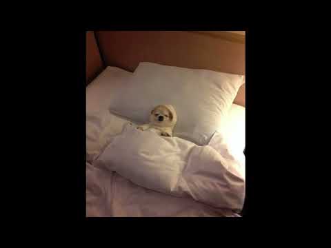 help me doctor, these UKG basslines are sick!