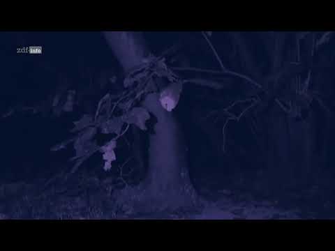 Traumorte: Queensland - Vom Great Barrier Reef nach Cooktown (2024)