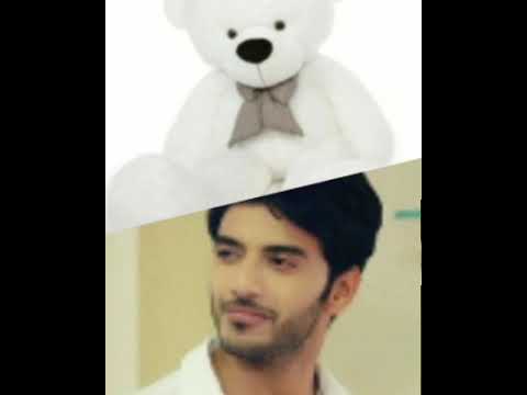 Vikram Singh Chauhan vs teddy bear🐻 which is your favourite