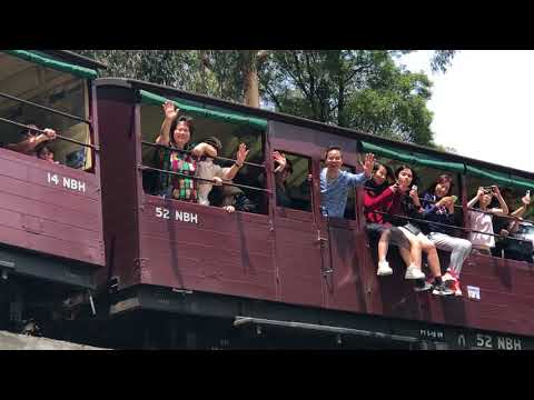 Puffing Billy Melbourne