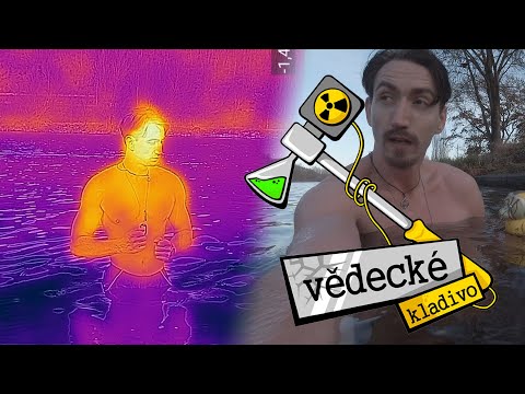 Co se děje při otužování? - Vědecké kladivo