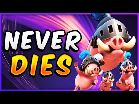NERF-PROOF! NEW POWERFUL ROYAL HOGS DECK to UPGRADE — Clash Royale