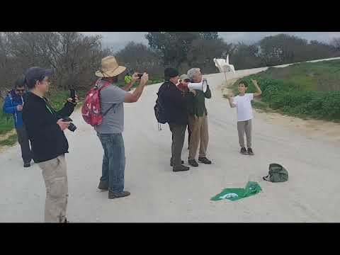 La lucha por recuperar la laguna de La Janda, el mayor humedal de España