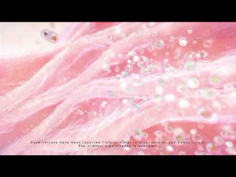 Enfants dibazol Komorowski H hypertension