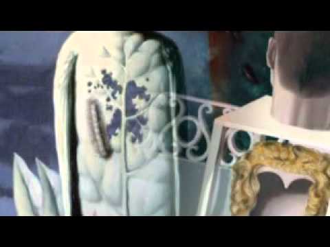 Il postino e la poesia