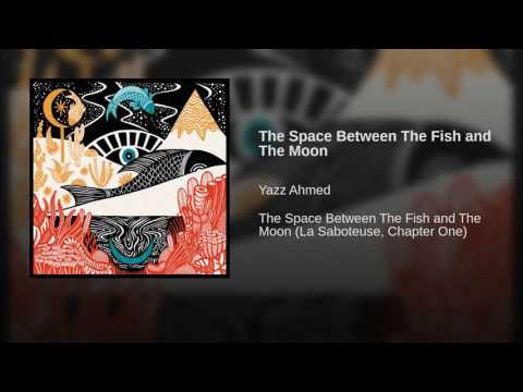 The Space Between The Fish and The Moon