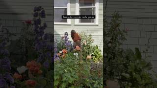 Garden therapy #gardeninspiration #growingroses #myrosegarden