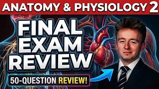 A&P2 Final Exam Review – CRUSH Your Exam!