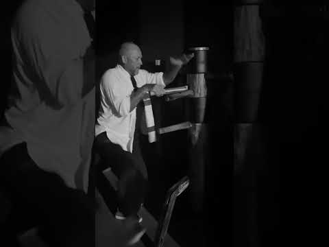 The Iron Mantis Muk Jung (wooden dummy) #martialartstraining #woodendummy