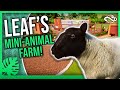 Leaf's Mini Animal Farm! | Total Modded Island - Planet Zoo Challenge Mode