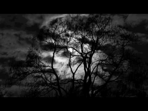 Mathilde Renault & Jean-Christophe Renault - Unknown Beauty