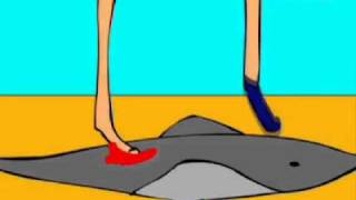 How to Protect Yourself from Stingrays