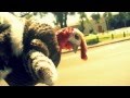 ALLBROOK/AVERY - Adam's Song (Rabbit ...