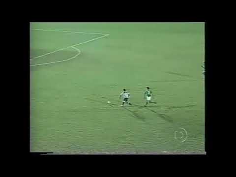 Guarani 0 x 2 Botafogo - Campeonato Brasileiro 2004