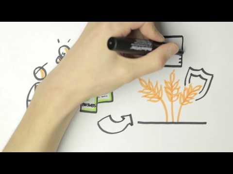 Pflanzenschutz - Einfach erklärt.