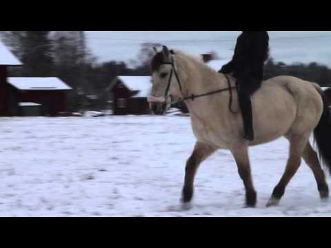 Ivan & Carro 14/02-16 [Don't deserve you]