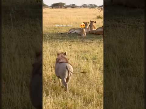 😂❤️🤣 so Funny #funny