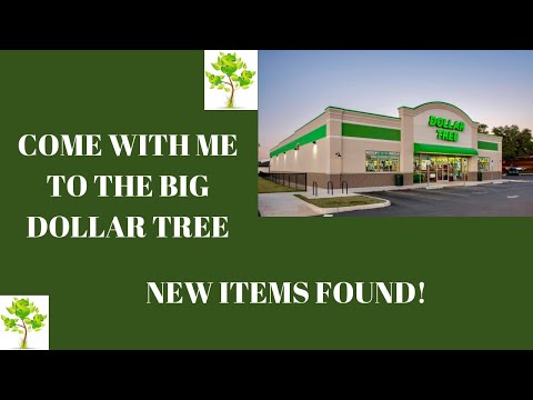 What’s New at Dollar Tree 🌳 Come with me to the BIG DOLLAR TREE~Lets See What’s NEW 😊