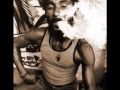 Lee Perry & Mad Professor - Jungle Safari & Heads Of Government