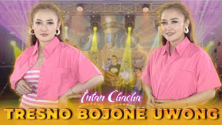Download lagu Intan Chacha - Tresno Bojone Uwong | Duta Nirwana Music mp3 Download lagu Intan Chacha - Tresno Bojone Uwong | Duta Nirwana Music mp3