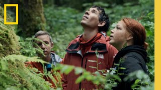 Alex Honnold and Tommy Caldwell visit the Tongass National Forest | The Devil&#39;s Climb
