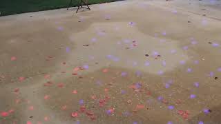 Small Dance Floor Lighting Effect