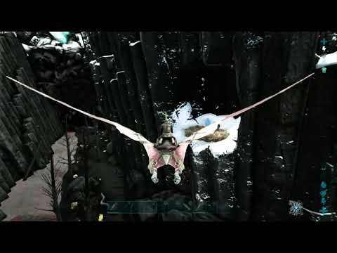 Stealing my first Wyvern egg