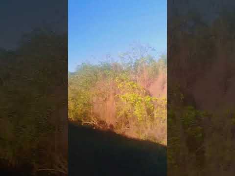 O imenso Rio Juruena, MT-170 em Juína-MT