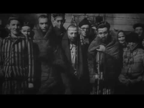 Ars Onirica | On The Wall (Official Video)