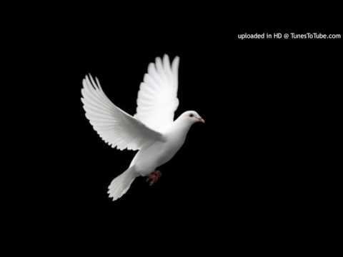 Today's Tango Is... Yo Tengo Un Pecado Nuevo - Anibal Troilo 15-12-1958