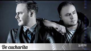 De cucharita - Río Roma (letra) #RíoRoma #DeCucharita #실비아