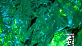 Keeftowne Blend performing the Can song "She Brings The Rain" set to the mellowest of visuals