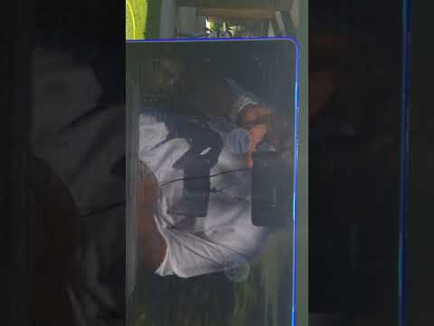 Promotional video thumbnail 2 for DJ Done Deal