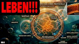 Leben!!! Und wie es entsteht