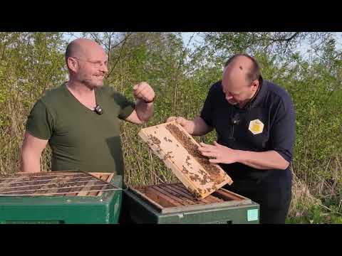 Ralf and Jan about the Buckfast Graaff Reinet line.