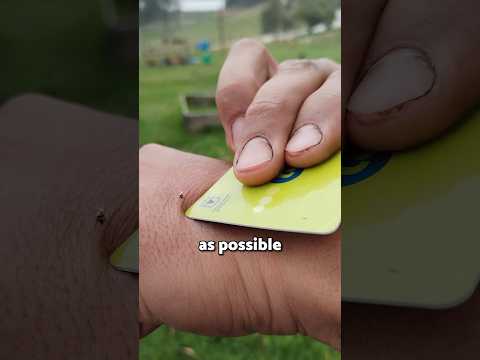 How to SURVIVE a bee attack 👏 #viral