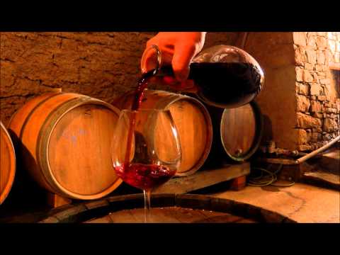 Staletý vinař - vydání knihy