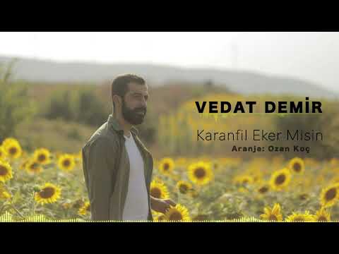 Vedat Demir - Karanfil Eker Misin