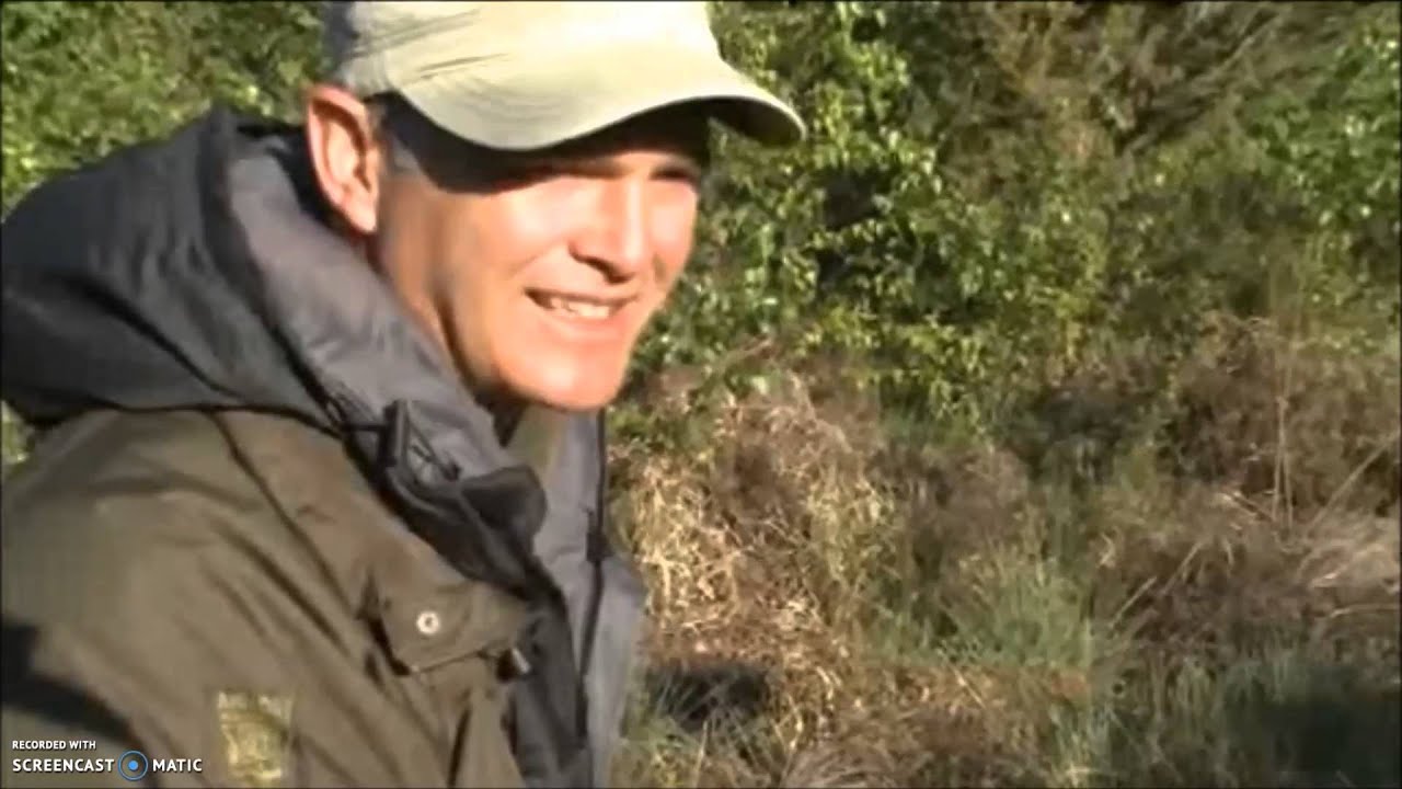 Adders on Springwatch (2010)