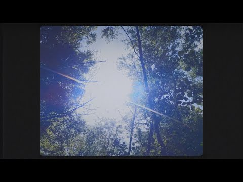 Pseudo Slang x Pawcut - WhatWeerDealinWit