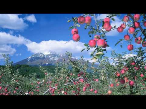 津軽のふるさと／塩田美奈子
