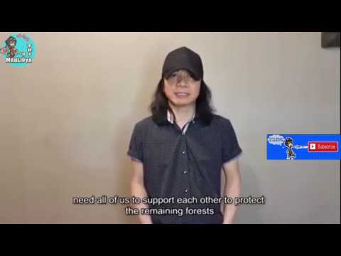 SLANK - IWAN FALS - SANDRAYATI FAY - STING (SOS Rainforest LIVE)