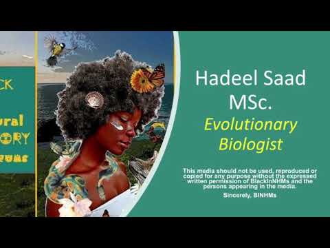 Hadeel Saad - Evolutionary Biologist