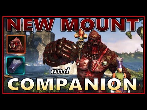 *FREE VIP PACK* All 4-Slot Mounts Documented! NEW Comp & Mount Tested (D&D in Session) - Neverwinter