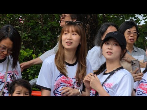 ❰4K❱ 元朗區日夜都繽紛@十八鄉天后寶誕巡禮2026 #shorts #元朗十八鄉天后寶誕