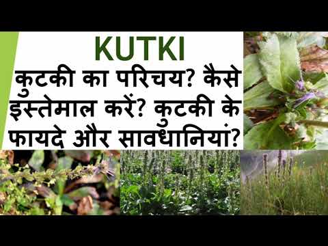 Kutki dry extract