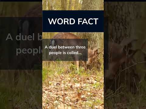 Have you heard of a "Truel"? Let me know in the comments! 👇 #shorts #word #facts #duel #three #truel