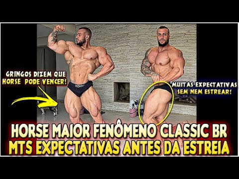 HORSE WITH MORE HYPE THAN RAMON IN THE GRINGA | WHY DO FOREIGNERS TRUST HORSE SO MUCH? HE HASN'T ...